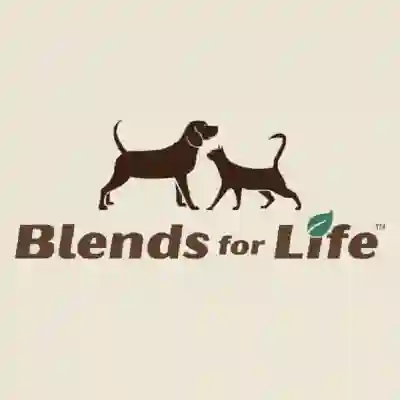 Image Alternative Text