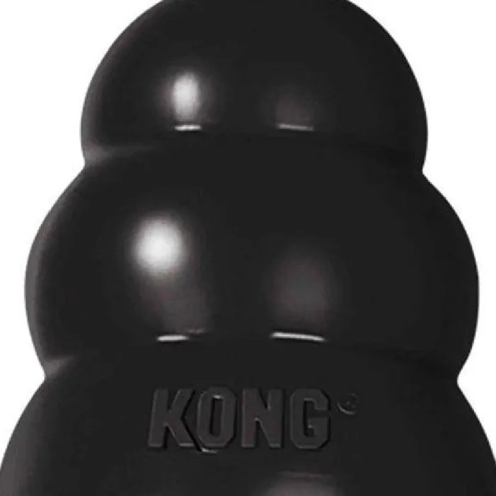 Promotion Image