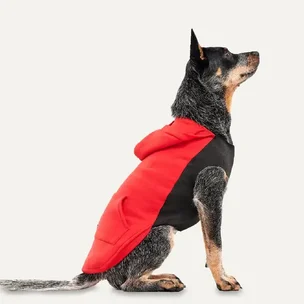 F:on sale Select Go…