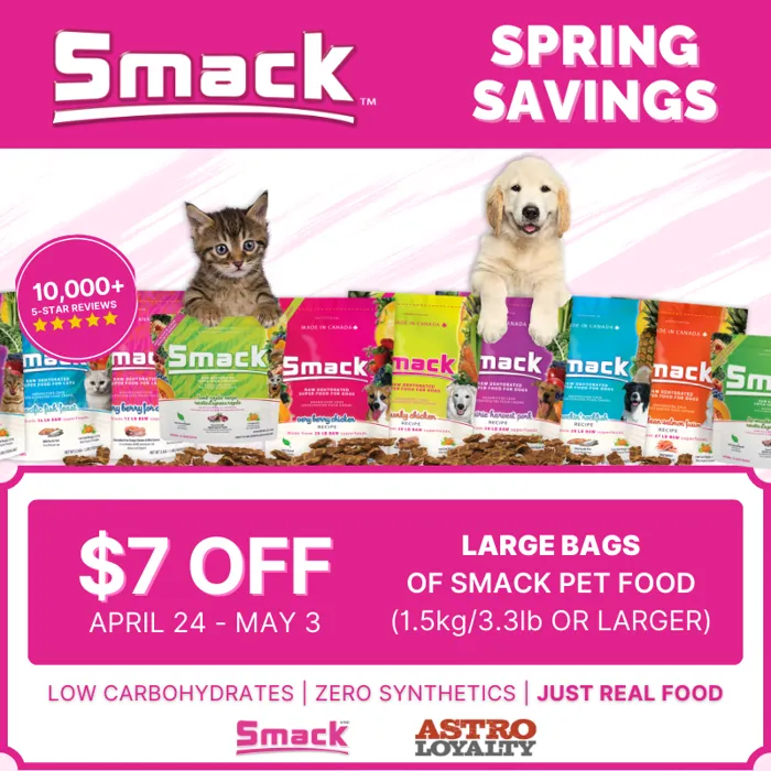 Promotion Image
