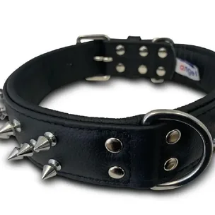 10% off all Angel l…