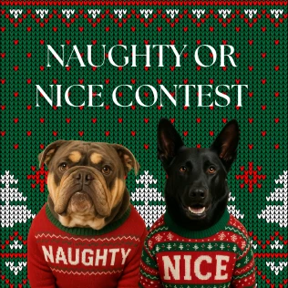 Events. Naughty or Nice Contest