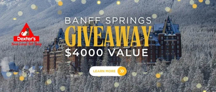 Banff Springs Giveaway at Dexter's, Calgary.