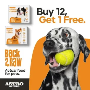 Back2Raw | Dog 4lb …