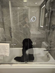 info-img-alt-text